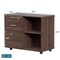 Drawer Wood File Cabinet with coded Lock | Printer Stand with Open Storage Shelves for Home Office